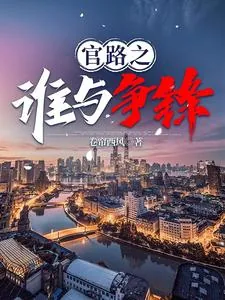 《官路之谁与争锋》小说封面