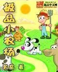 《极品小农场》小说封面